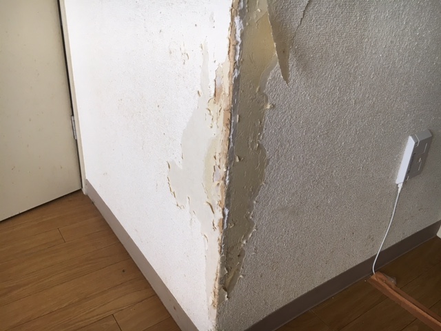ペットによる壁や壁角の破損修理 壁穴レス急